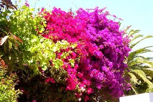 Casa de Férias Vivenda Johanna Lagos Portugal