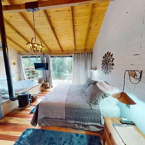 https://cisne-negro-villarejo.santa-catarina-brasil.com